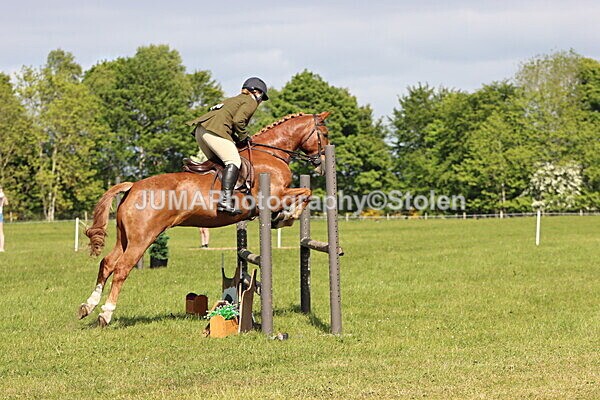 IMG_4878 - Working Hunter