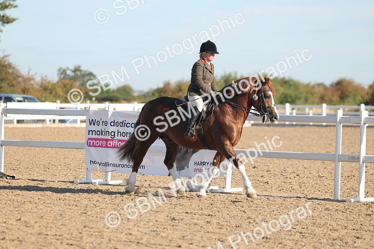 SBM_10952 - Class 302 - Ridden M&M Large Breeds
