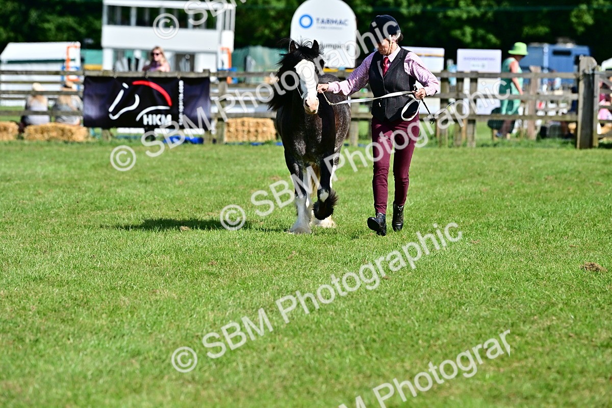 SBM_09998