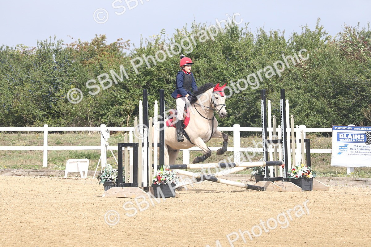 SBM_006008 - Class 6 - 60cm Champs