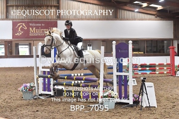 BPP_7095 - CLASS 2 Club/ Unaffiliated 80cms Open