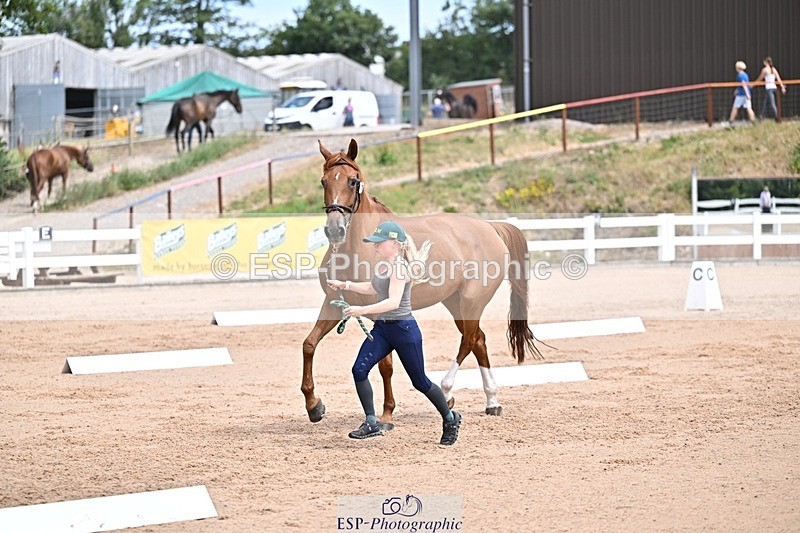 250716-130838-00357 - Trot Up 12.30 to 1.30