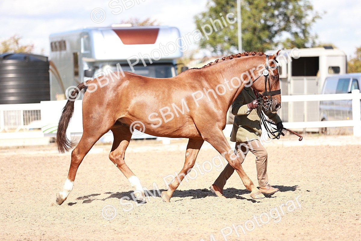 SBM_13323 - class 406 - IH Hunter