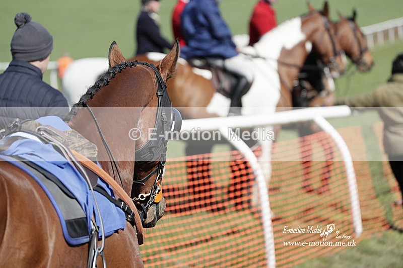 PtP 100423 568 - Old Berkshire Point-to-Point Lockinge 10/04/23