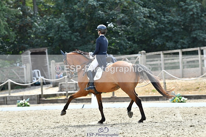 260802A-153050-07440 - Intermediate Bronze