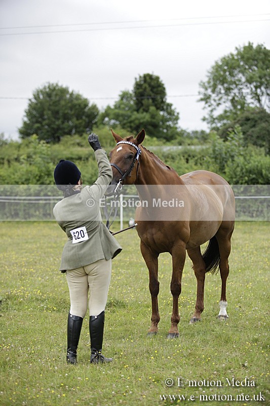 BVR160717-1112 - In Hand Championship 16/07/17