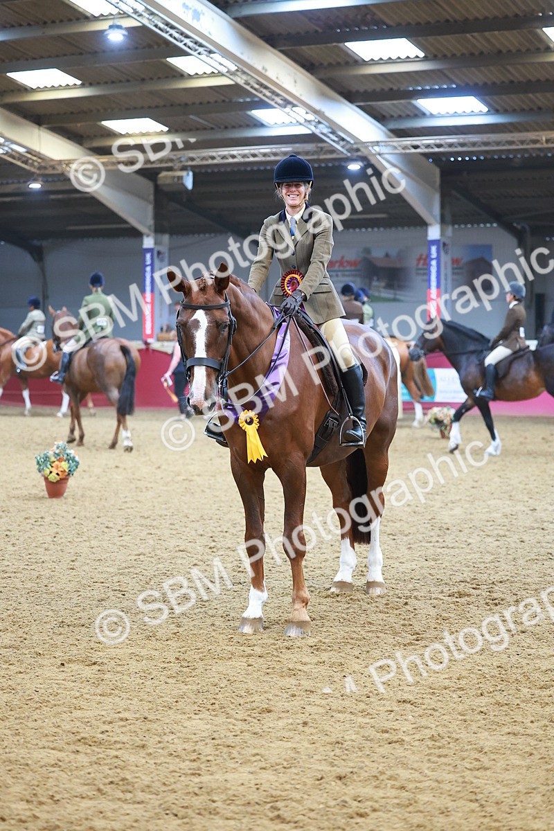 SBM_12693 - Class 103 - HOYS Veteran Qualifier - Ridden Pre Vet