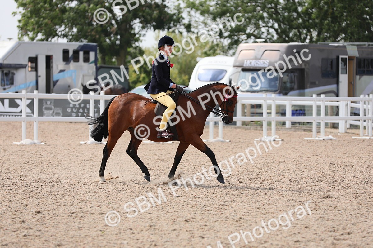 SBM_15580 - Class 311 Ridden Show Pony/ Show Hunter Pony