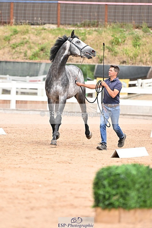 250716-153820-02071 - Trot Up 3.30 to 4.30