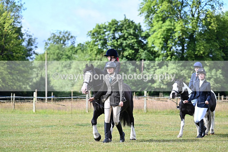 WJ7_4256 - Class 1 Lead Rein Pony