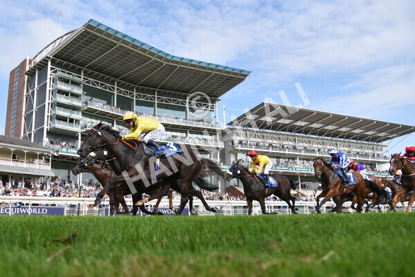 yr10072021r7-19 - Race 7: 5.15pm John Smith's Stakes