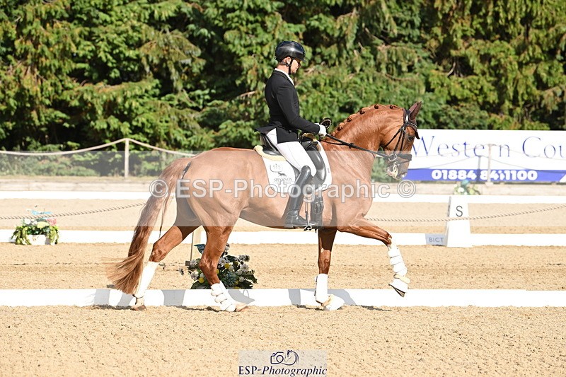 250808A-170430-02242 - Preliminary GOLD Presentations