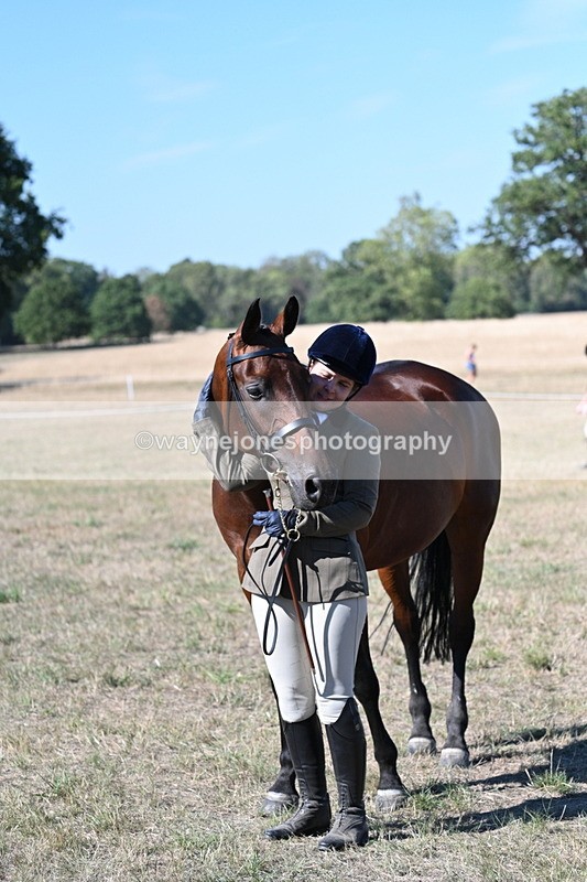 WJ7_1871 - Class 43 Best Six Legs (In hand)