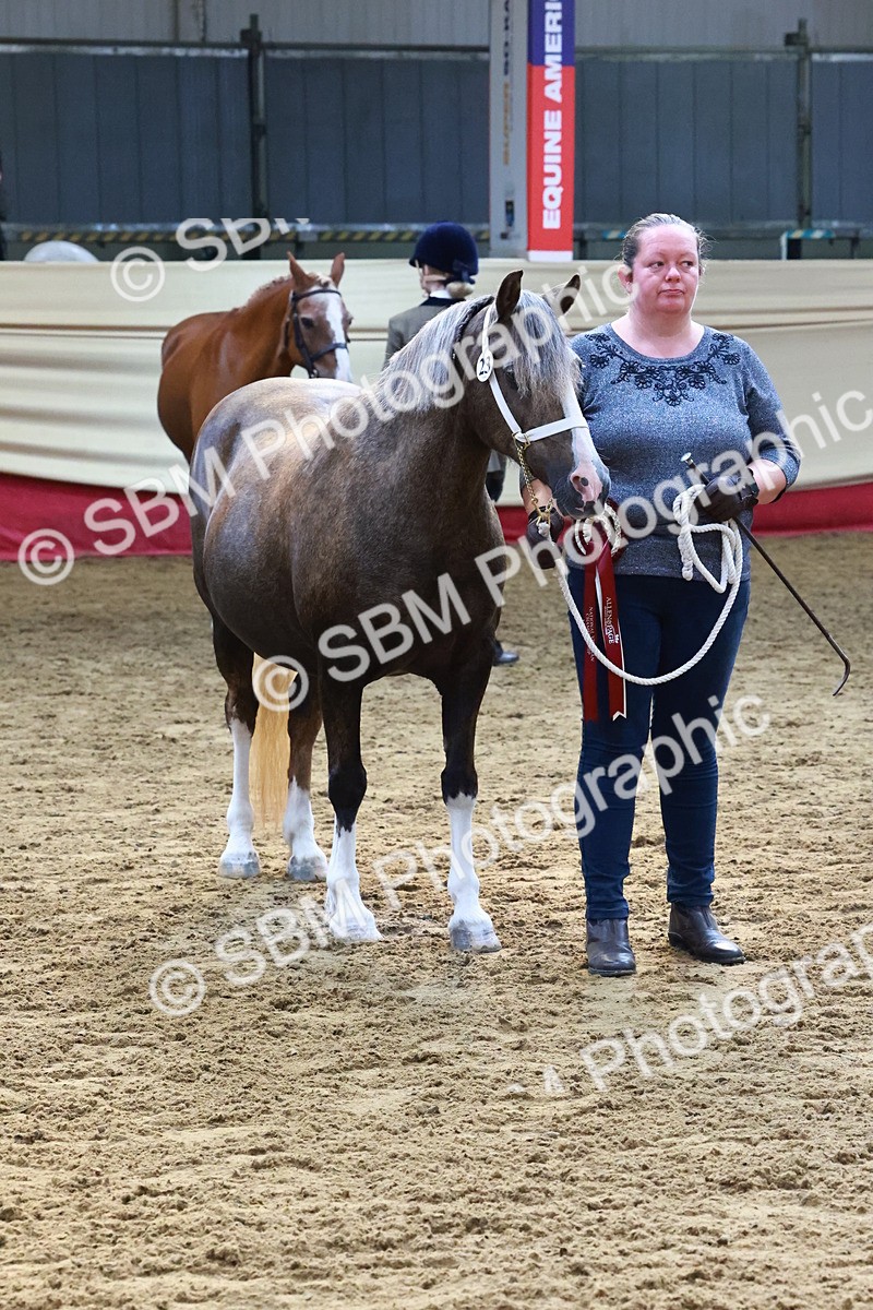 SBM_22416 - Class 902 - Supreme Final - IH Diamond