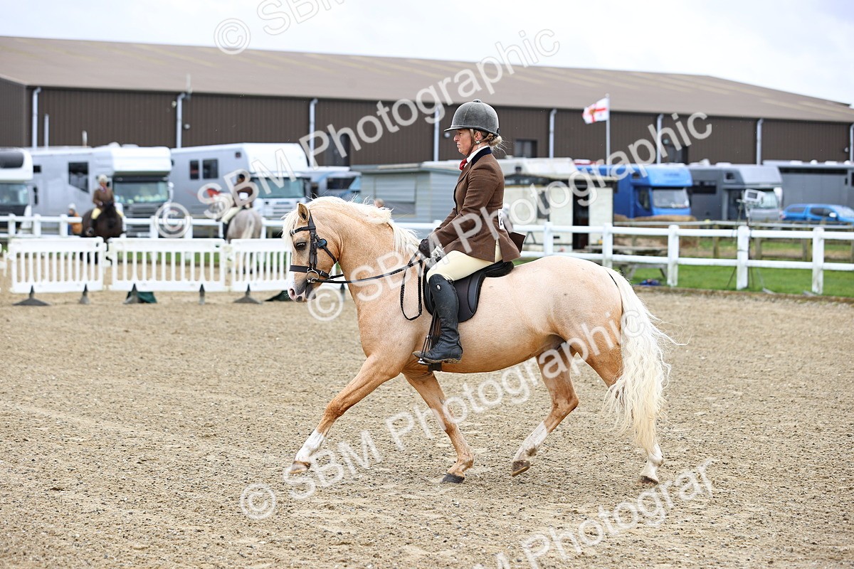 SBM_006847 - Class 29 - 30 - M&M Pure Novice Small-Large Breeds