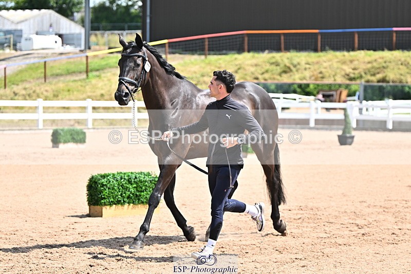 240718A-105244-01100 - Trot Up 12pm to 1pm