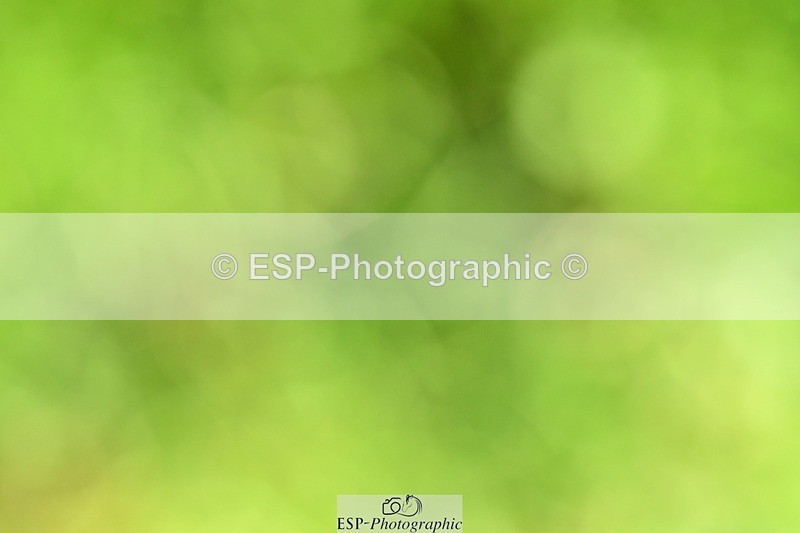 231110-114444-01281 - Cls 5 Elementary 43