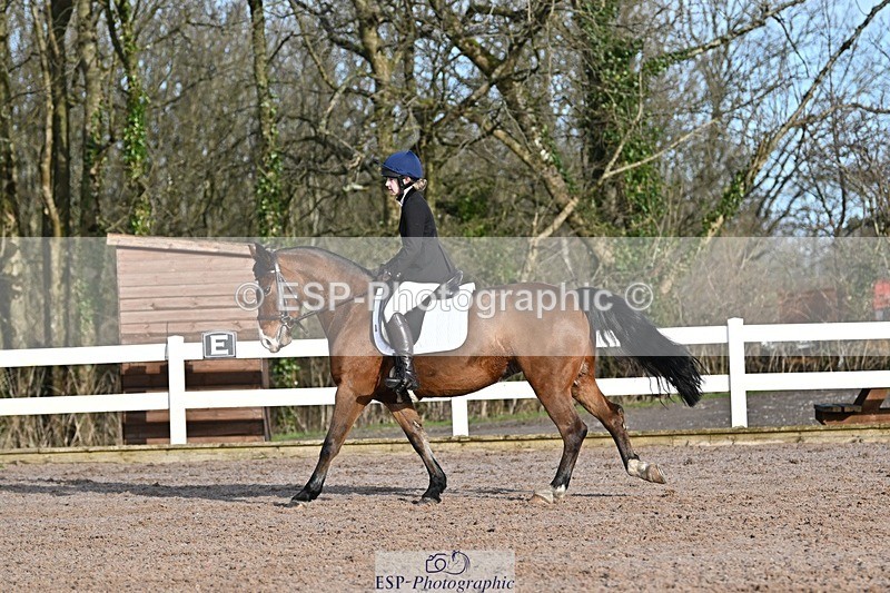 250125-104013-00205 - Dressage - CT Class 4 BE95 (80cm)