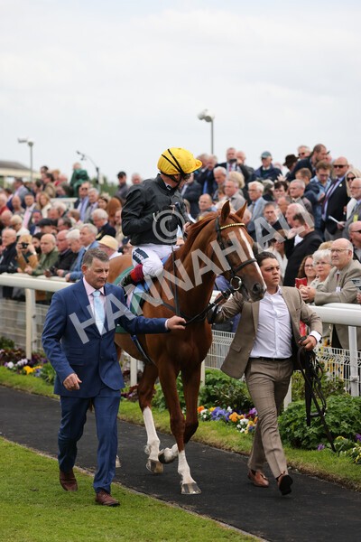 yr13052022r4-27 - Race 4 3.35pm The Paddy Power Yorkshire Cup (British Champions Series Race)