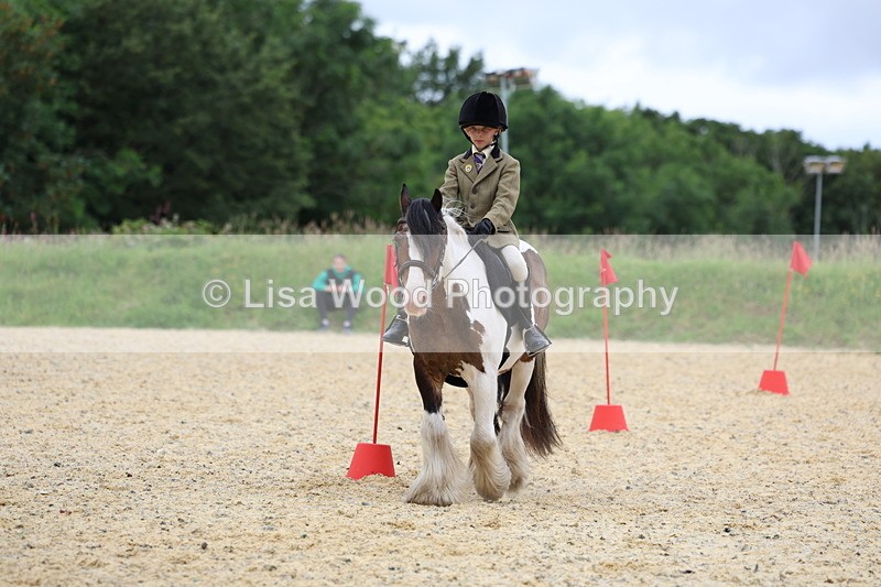 3E7A9683 - Walk trot run