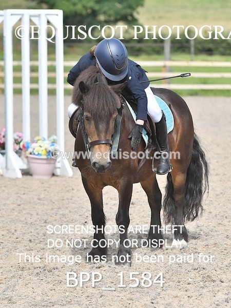 BPP_1584 - DERBY CLASS 3 - 40CM