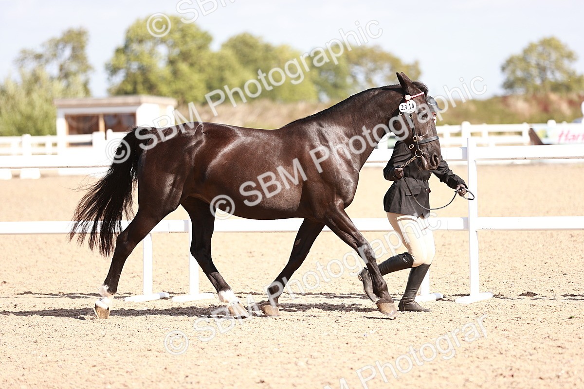 SBM_22880 - Class 706 - IH Veteran