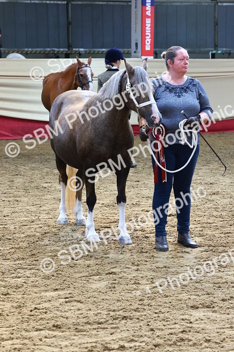 SBM_22417 - Class 902 - Supreme Final - IH Diamond