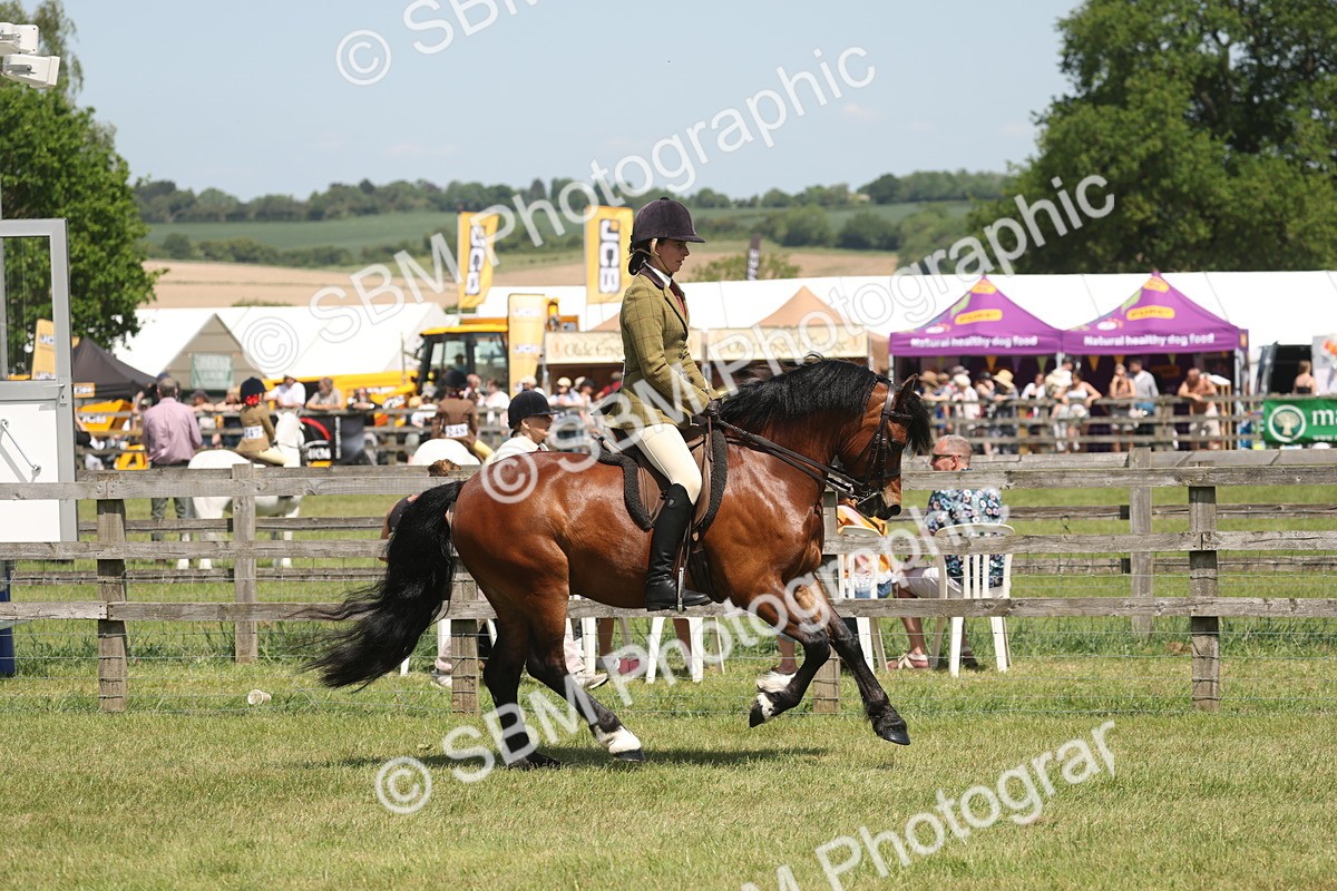 SBM_06923 - Class 26-30 - Mountain and Moorland Ridden