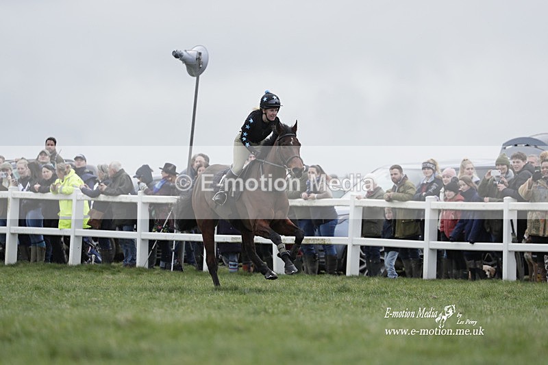 PtP 260323 0178 - New Forest Hounds Point-to-Point Larkhill 26/03/23