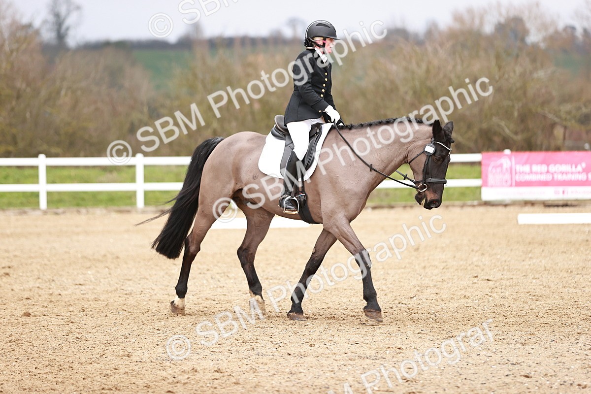 SBM_005444 - Elementary 1