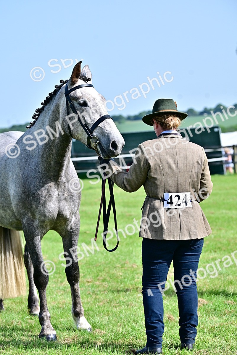 SBM_03324 - Class 50 - 54 Light Horse Breeding