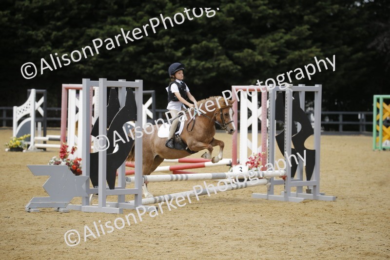 20250622-4619 - 50cm