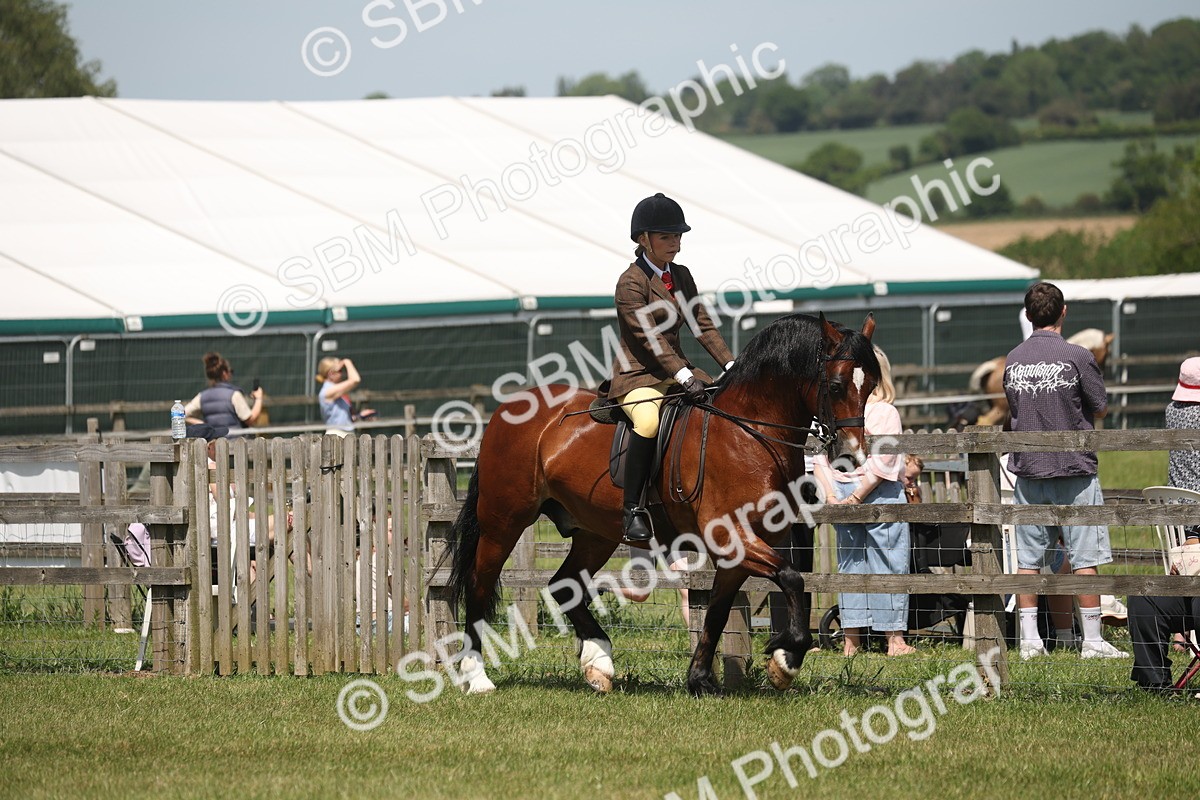 SBM_06905 - Class 26-30 - Mountain and Moorland Ridden