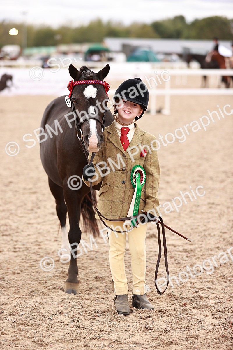 SBM_18612 - Class 421 - Childs Best Friend - Jnr