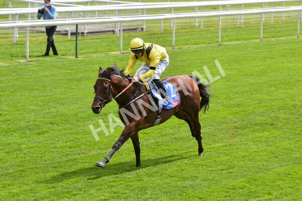 yr12052021r1-42 - Race 1 1.40pm Sky Bet Race to the Ebor Jorvik Stakes