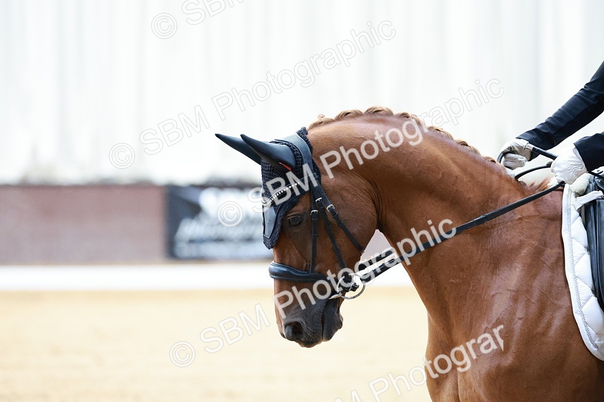 SBM_016775 - Class15 - FEI Pony