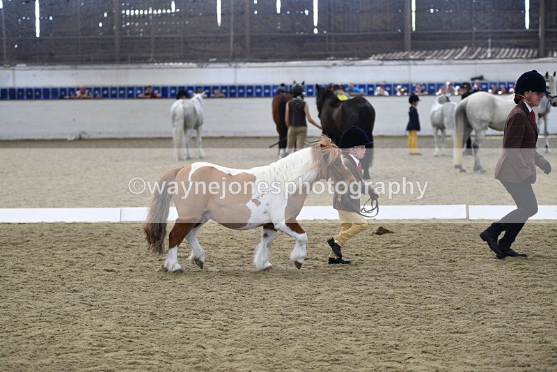 WJ5_4932 - Class 7 In hand coloured / odd coloured