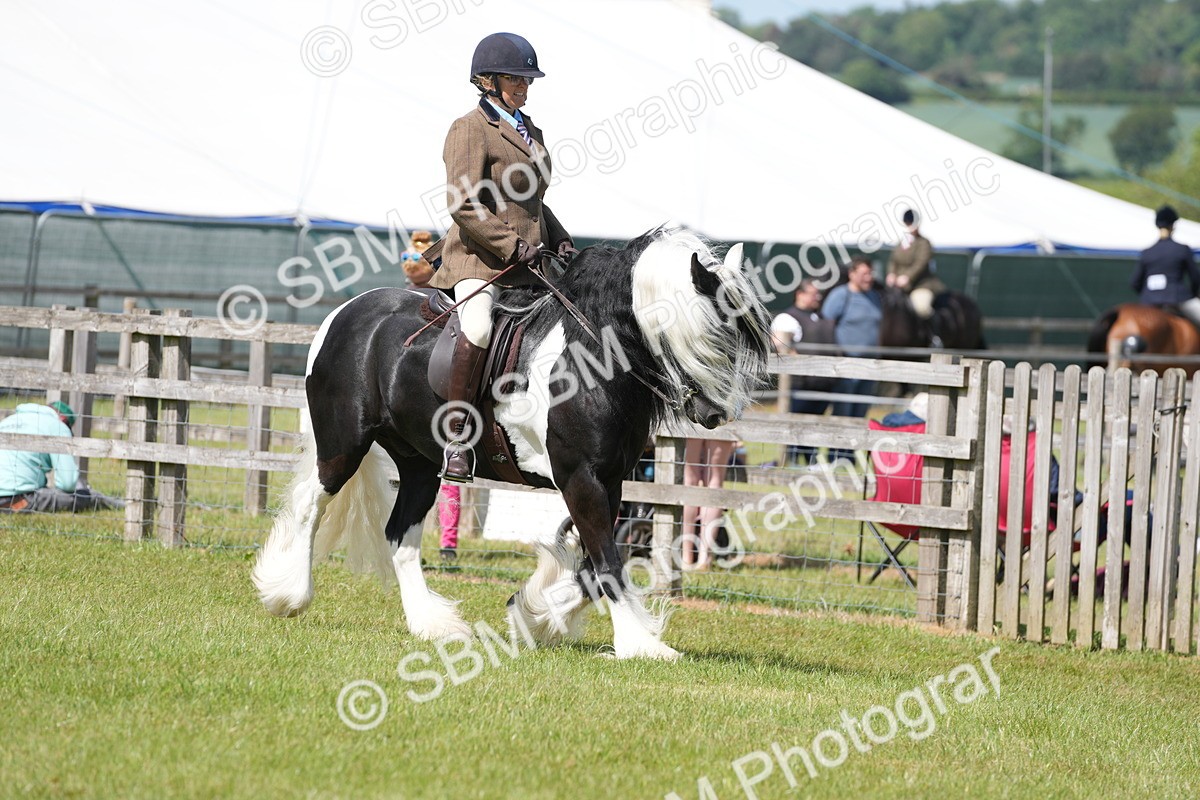 SBM_17100 - Class 107-108 - LIHS BSPS Performance Coloured Horse Pony