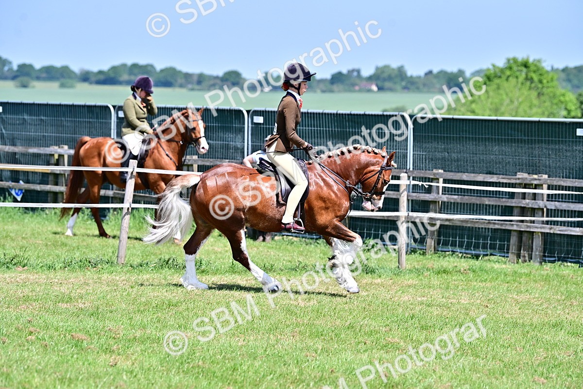 SBM_15273