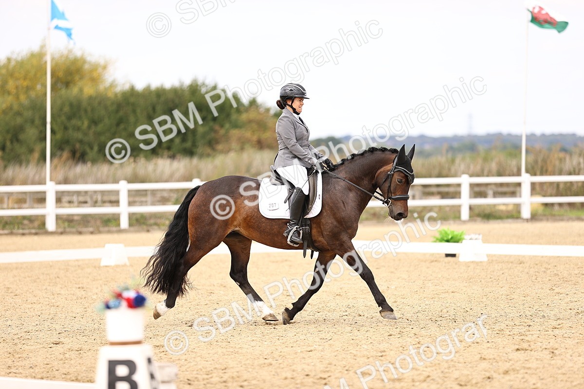 SBM_013980 - Class 4 - Novice 5 - 13.09-13.51