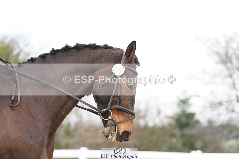 250322-121648-00328 - DR Novice 2 Test