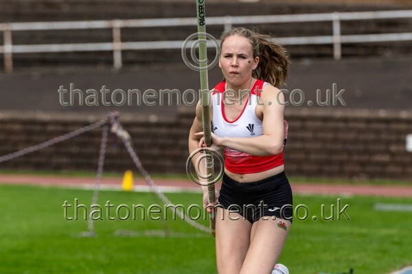 SIAB23-528538 - Field Female Set Two