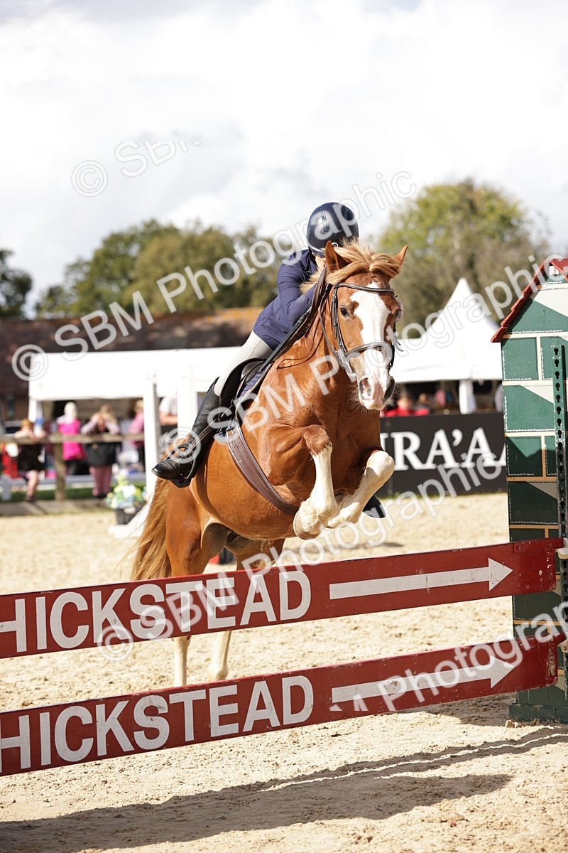 SBM_18562 - Supreme Championship