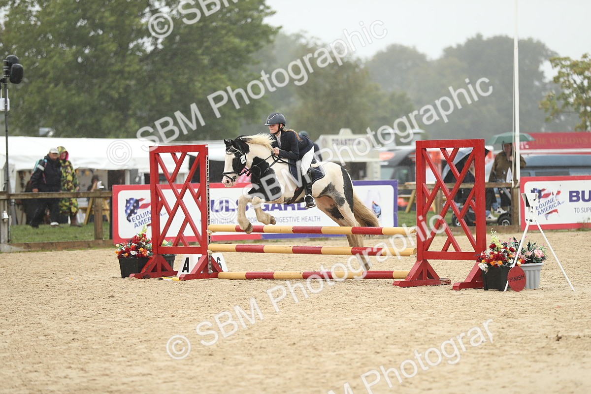 SBM_73764 - J16 - Junior Pony 75cm Championship