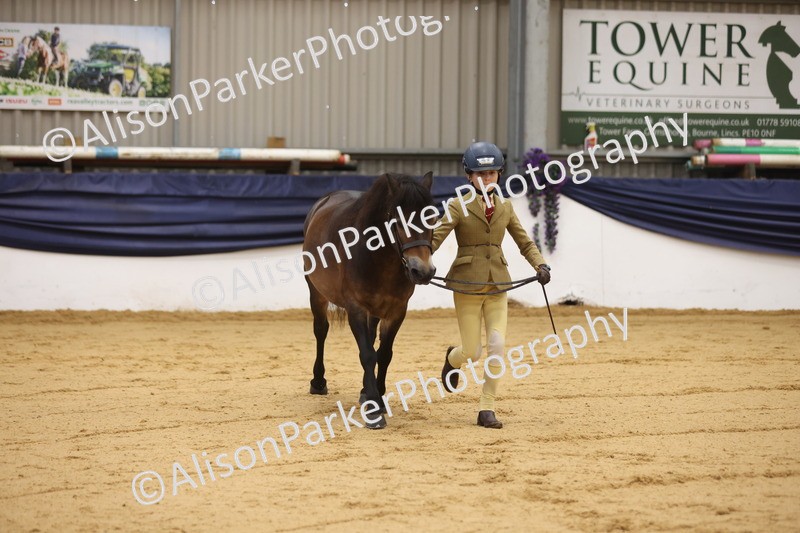20260913-1124 - Class 110 - Bred In Other In Hand