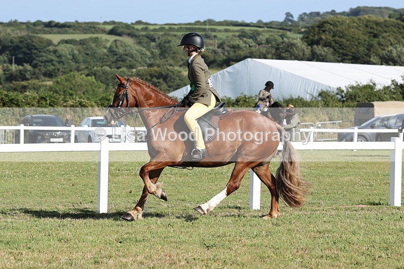 JPP_3067 - Class 20: Working Hunter 70cm