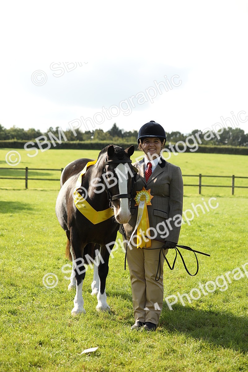 SBM_62355 - S45 - Mini Show Cob In Hand