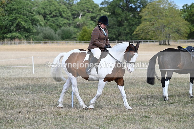 WJ7_6718 - Class 14 Ridden Coloured