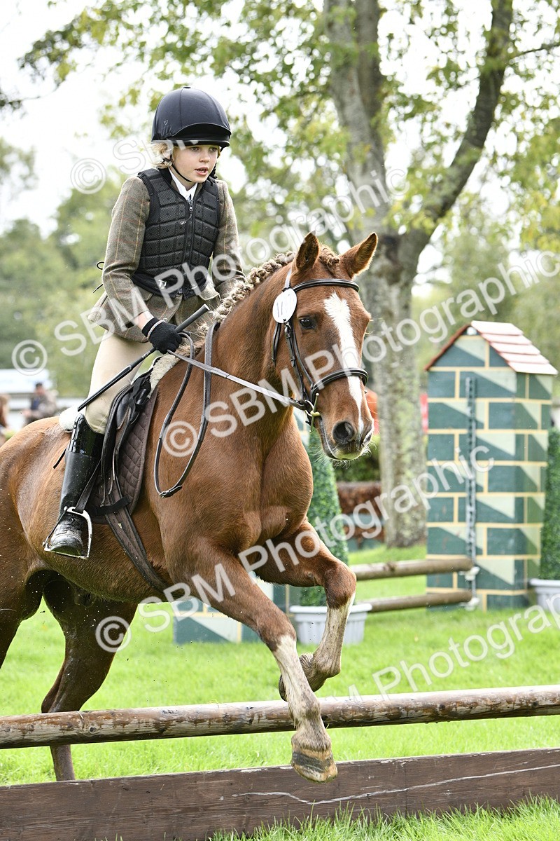 SBM_41475 - S32 - Mountain & Moorland Working Hunter Pony