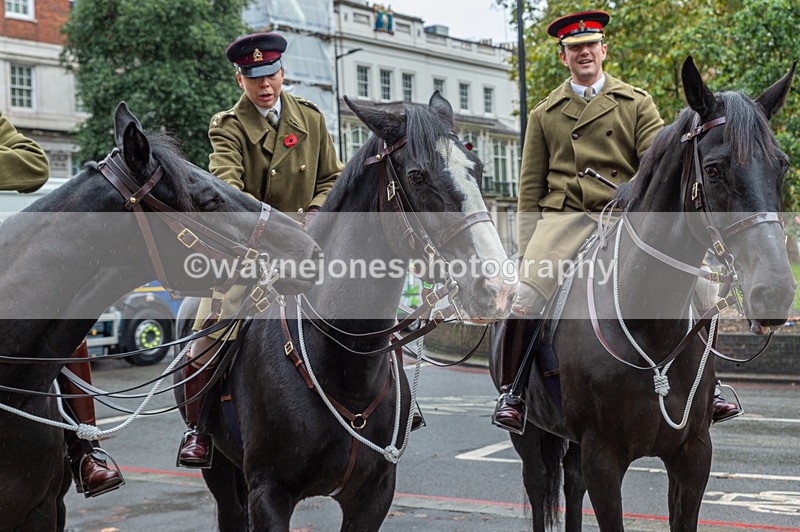 NGP_7083 - Animals In War Memorial - 10-11-23